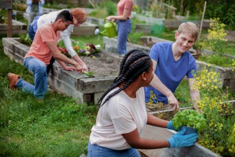 Volunteer